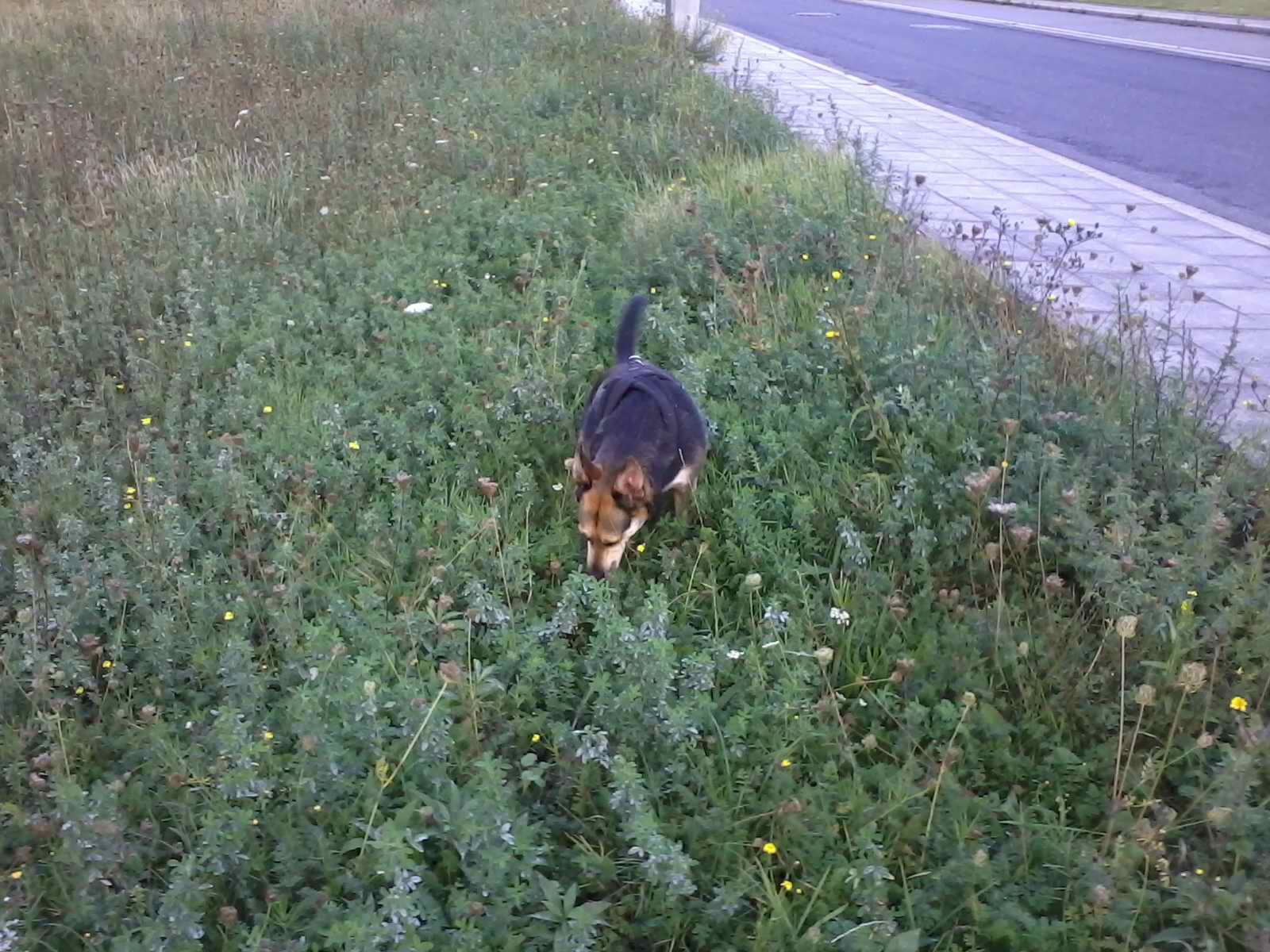 2012-10-12 17.35.57.jpg